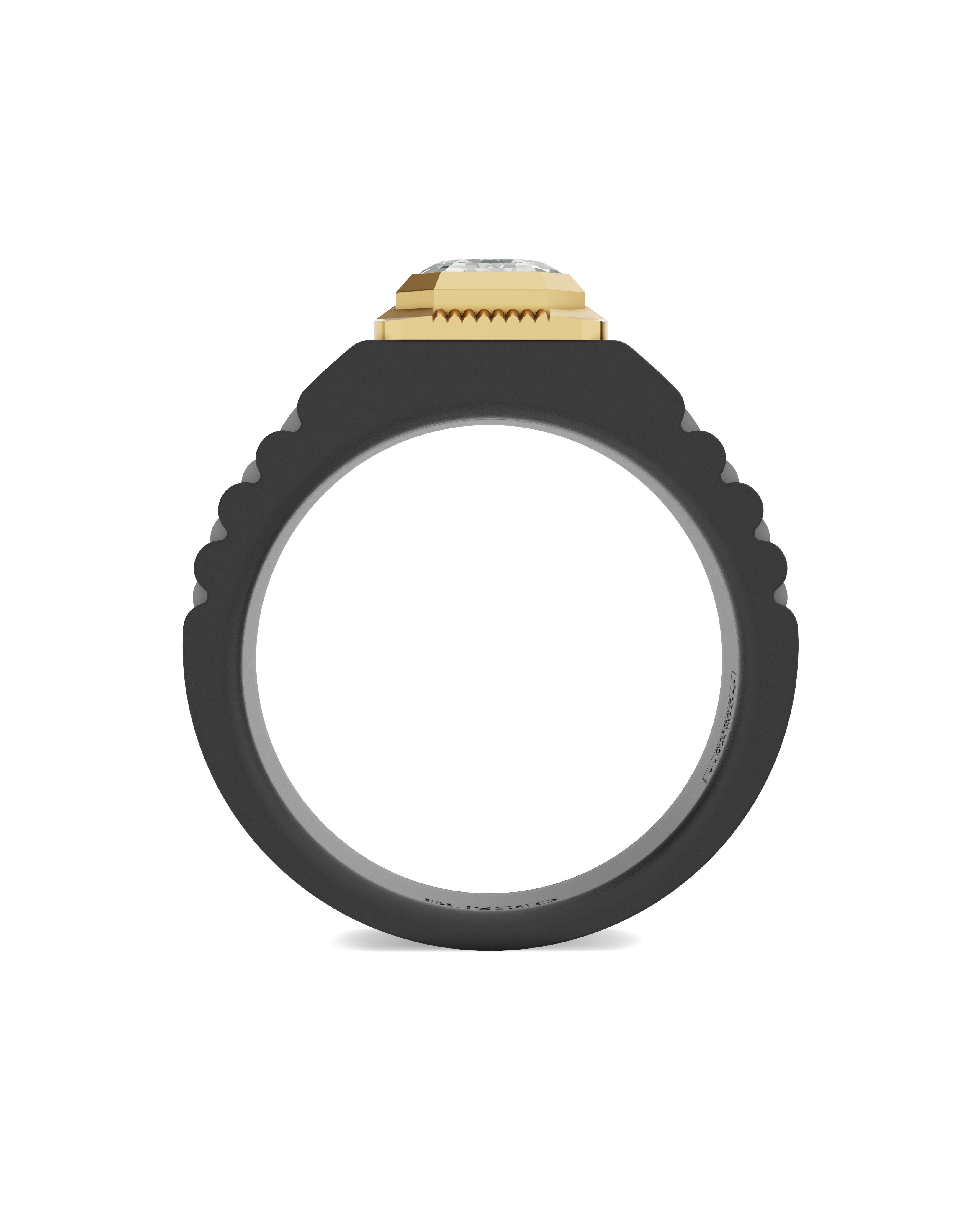 Men's Ring in Black Titanium and 14K Gold