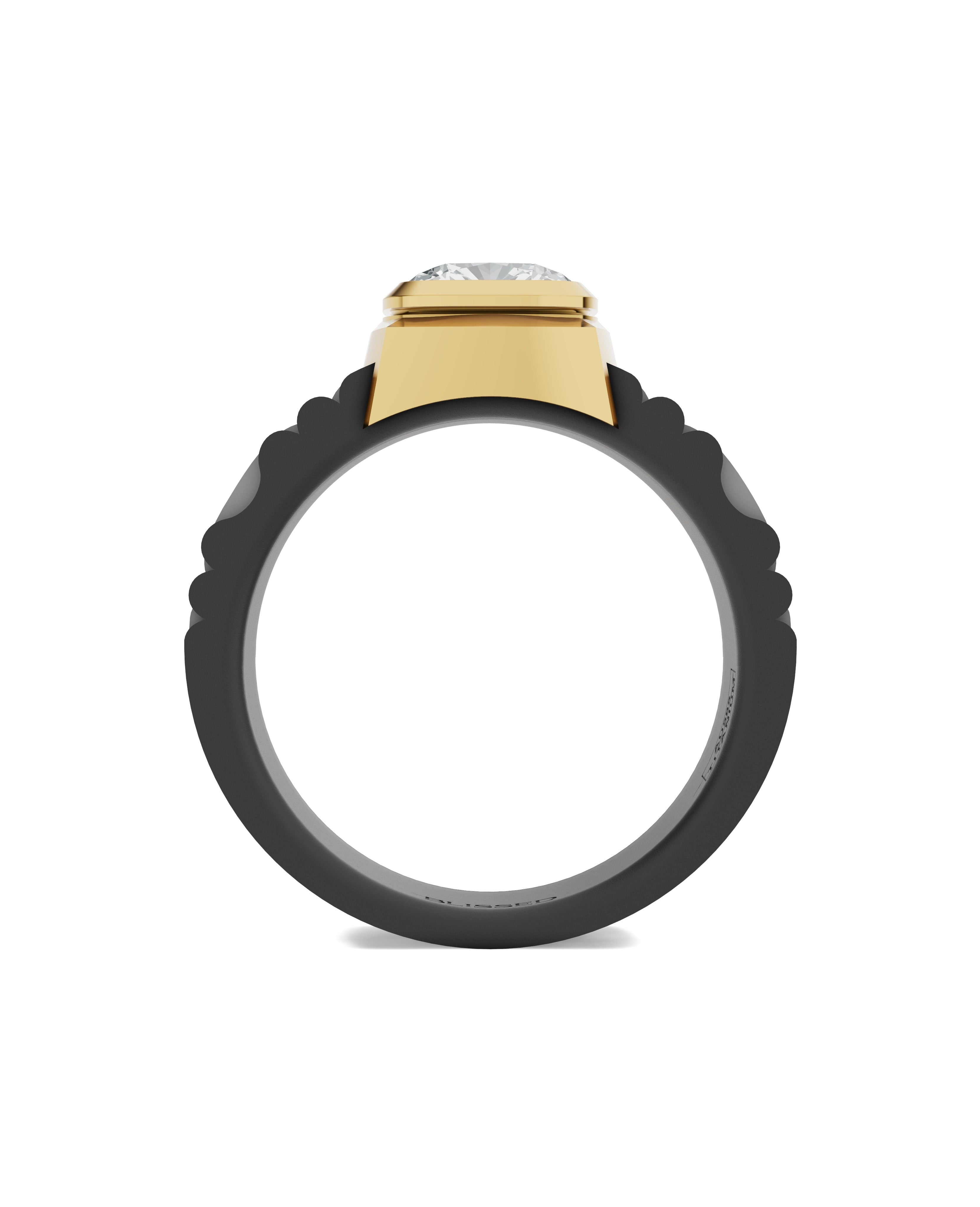Men's Ring in Black Titanium and 14K Gold